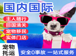 二连浩特赛乌素机场托运国际宠物托运 【国
